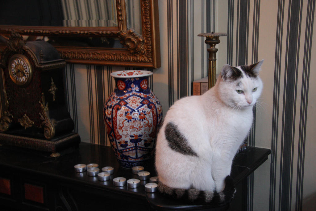 B&B Villa Thibault Liege Luaran gambar