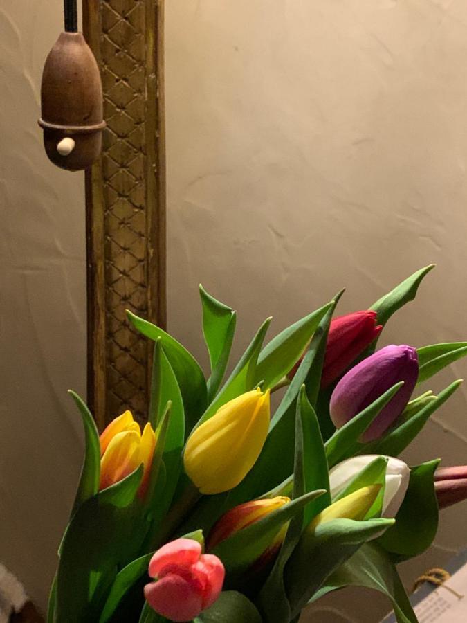 B&B Villa Thibault Liege Luaran gambar